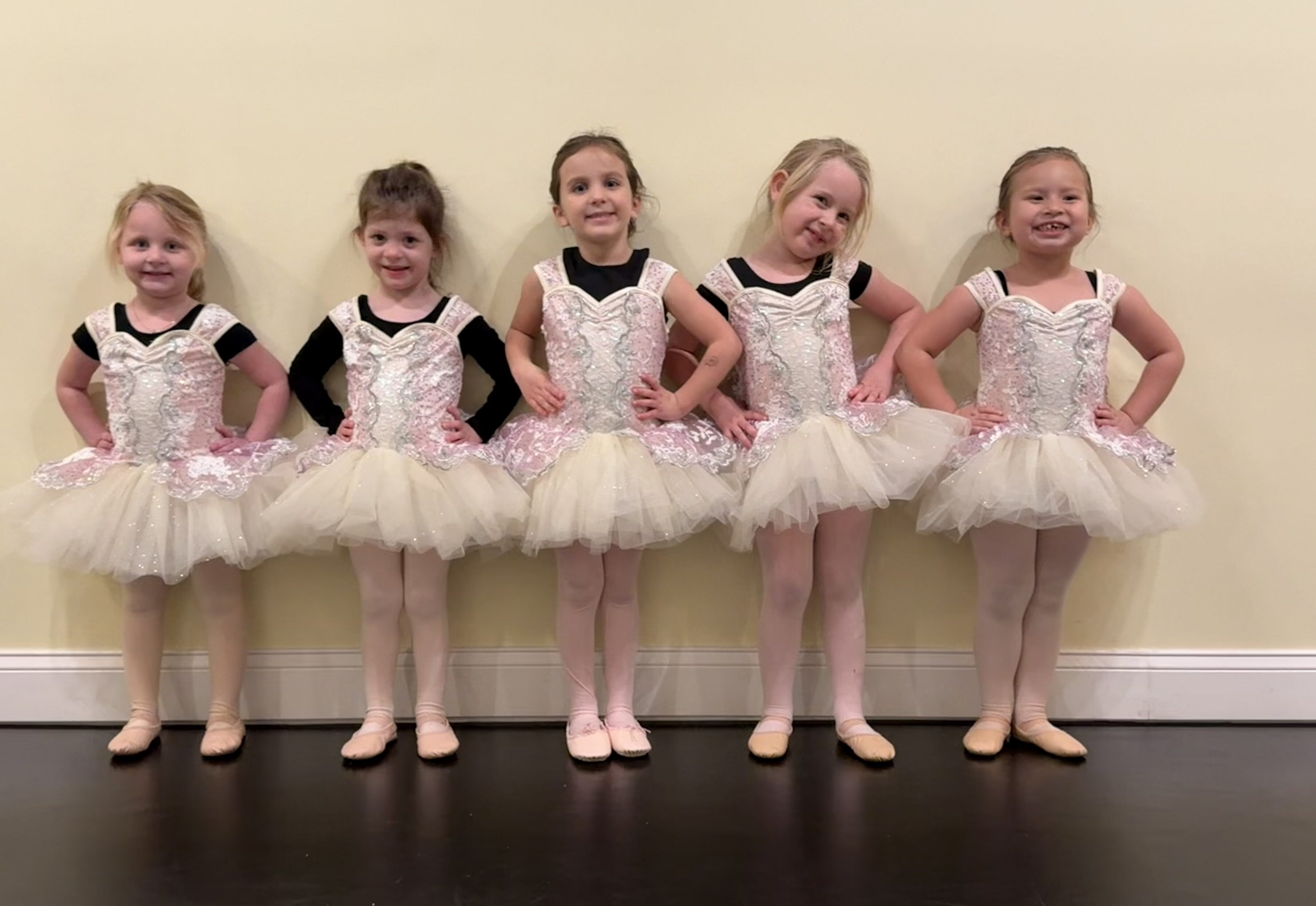 pre school ballet port orange ballet